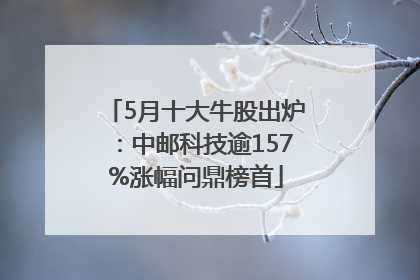 5月十大牛股出炉：中邮科技逾157%涨幅问鼎榜首